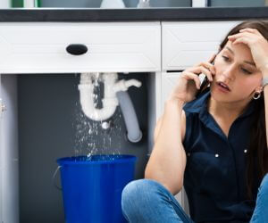 About Plumbers Pros Sparrow Bush, NY